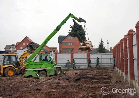 Посадка крупномеров Посадка крупномеров